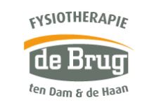 De Brug Fysiotherapie logo